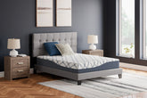 Tampa Furniture Outlet Lutz - Ashley Furniture - 10 Inch Chime Elite 2.0 Mattresses - Queen / White/Blue - M42531